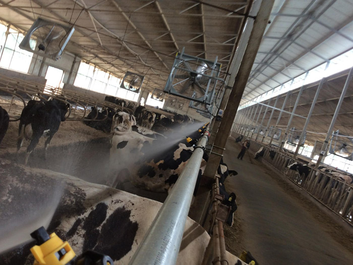 智能喷淋 智能喷淋