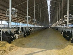 TIKTOK色板2.4.1除雾排氨