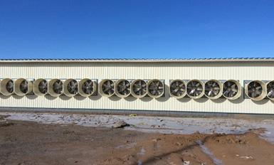 玻璃钢风机TIKTOK黄版APP