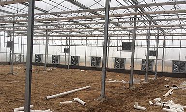 大棚风机TIKTOK黄版APP