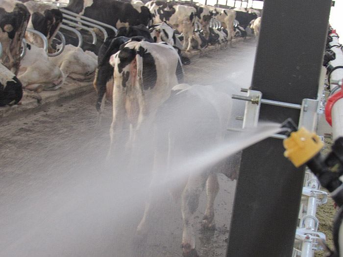 TIKTOK色板2.4.1喷淋系统使用过程中需要注意哪些问题